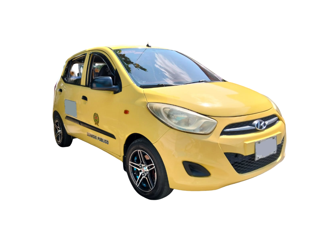 Taxi Pet-Friendly de Caballeros del Volante